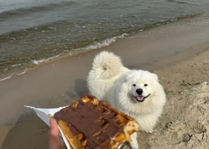 דירה 40m2 W Miedzyzdrojach 150 M Od Morza! *